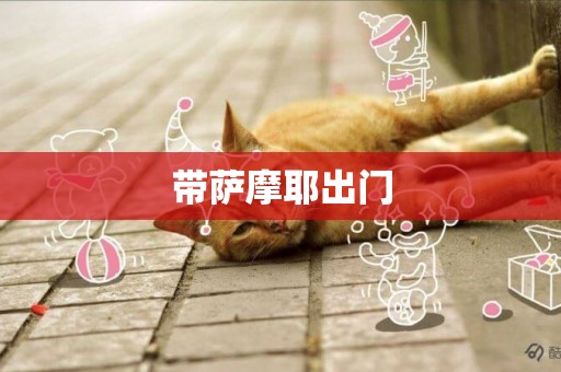 帶薩摩耶出門