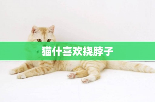 貓什喜歡撓脖子