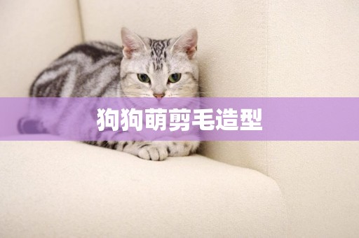 狗狗萌剪毛造型