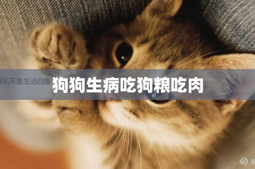 狗狗生病吃狗糧吃肉