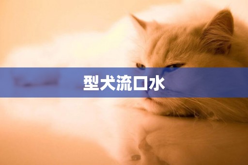 型犬流口水