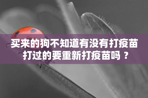 買來的狗不知道有沒有打疫苗 打過的要重新打疫苗嗎 ？