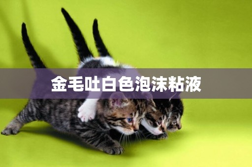 金毛吐白色泡沫粘液