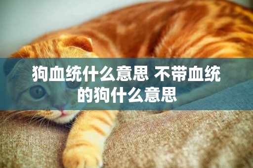 狗血統什么意思 不帶血統的狗什么意思