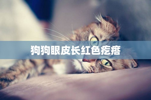 狗狗眼皮長紅色疙瘩