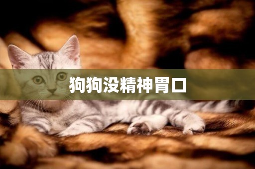 狗狗沒精神胃口