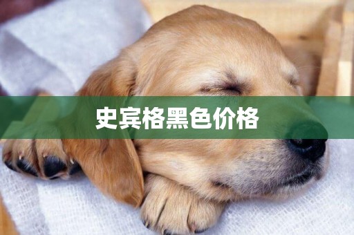 史賓格黑色價格