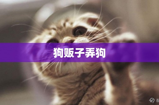 狗販子弄狗