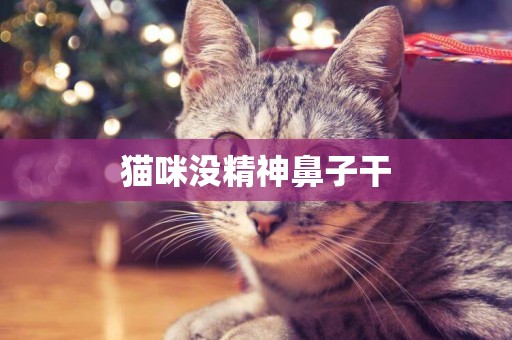 貓咪沒精神鼻子干