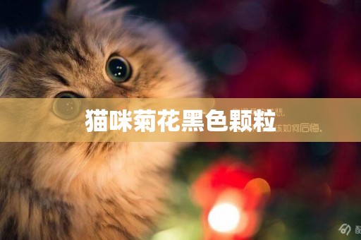 貓咪菊花黑色顆粒