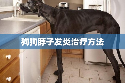 狗狗脖子發炎治療方法