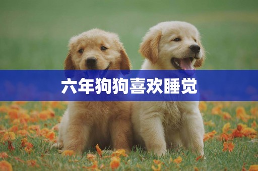 六年狗狗喜歡睡覺