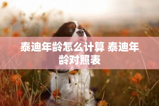 泰迪年齡怎么計算 泰迪年齡對照表