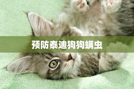 預防泰迪狗狗螨蟲