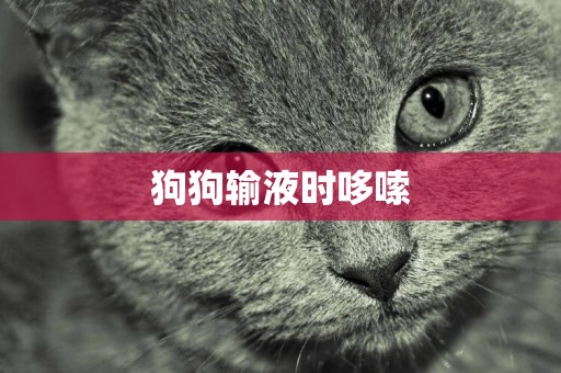 狗狗輸液時哆嗦
