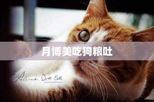 月博美吃狗糧吐