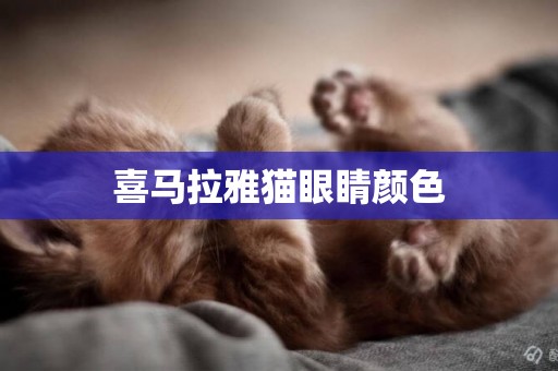 喜馬拉雅貓眼睛顏色