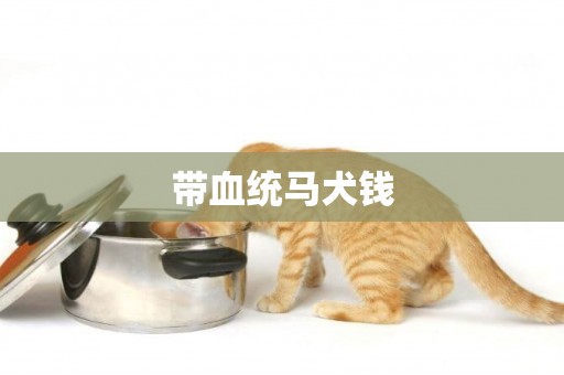 帶血統馬犬錢