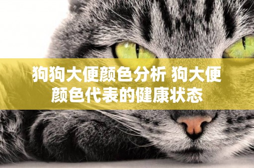狗狗大便顏色分析 狗大便顏色代表的健康狀態