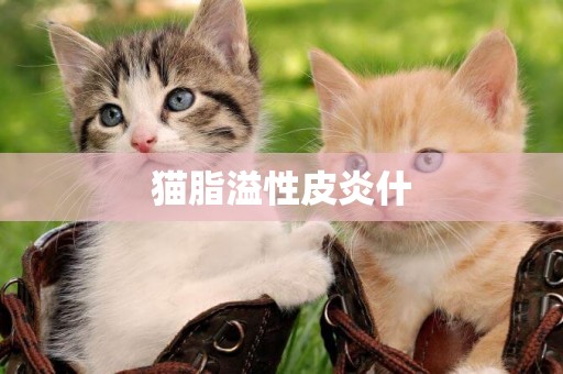 貓脂溢性皮炎什