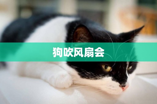 狗吹風扇會
