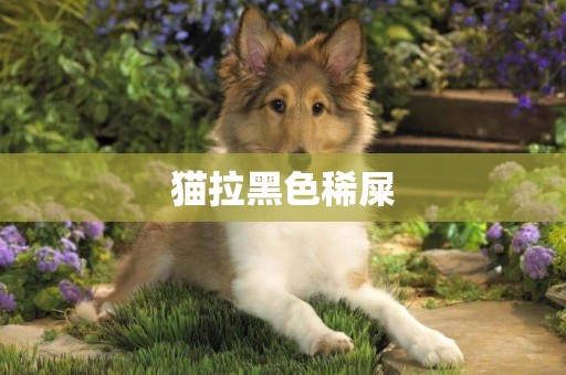 貓拉黑色稀屎