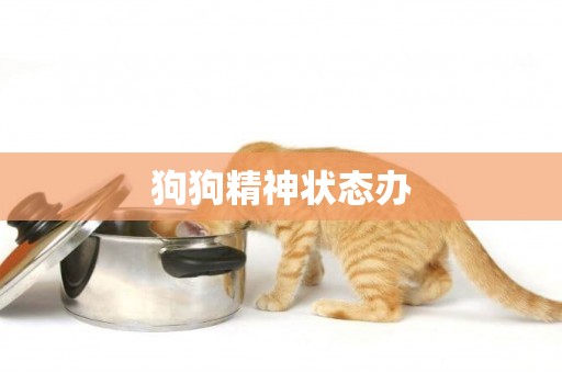 狗狗精神狀態辦