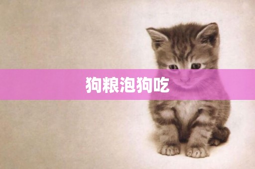 狗糧泡狗吃