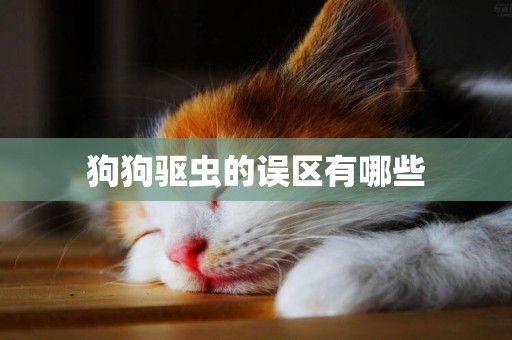 狗狗驅蟲的誤區有哪些