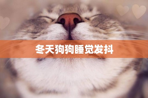 冬天狗狗睡覺發抖