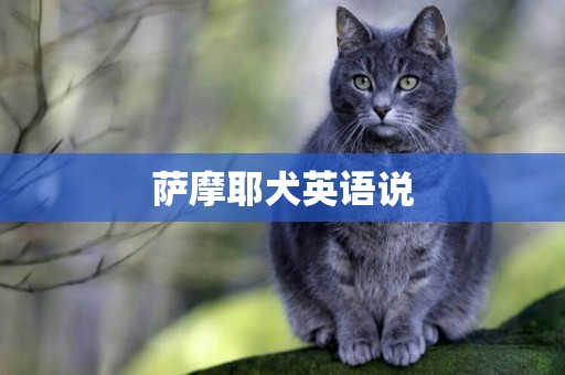 薩摩耶犬英語說