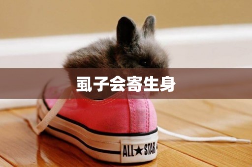 虱子會寄生身