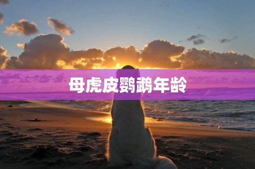母虎皮鸚鵡年齡