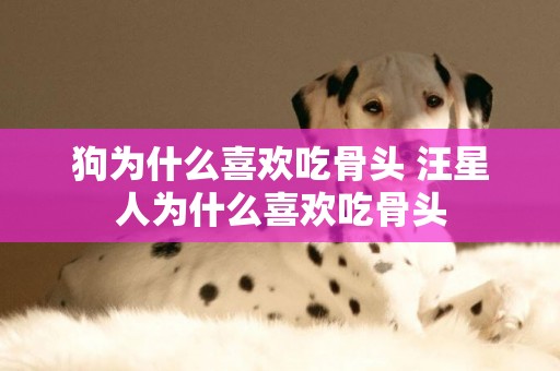 狗為什么喜歡吃骨頭 汪星人為什么喜歡吃骨頭