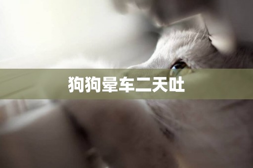 狗狗暈車二天吐