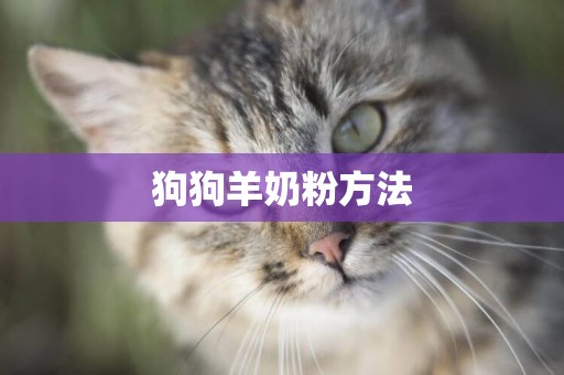狗狗羊奶粉方法