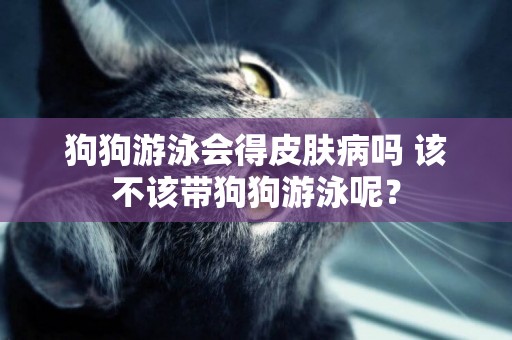 狗狗游泳會得皮膚病嗎 該不該帶狗狗游泳呢？