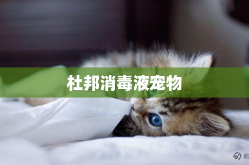 杜邦消毒液寵物