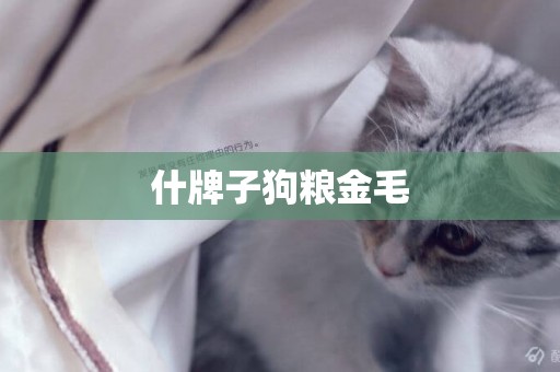什牌子狗糧金毛