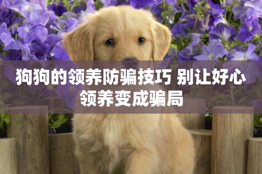 狗狗的領養防騙技巧 別讓好心領養變成騙局