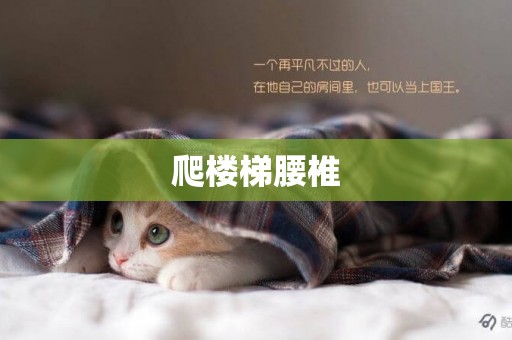 爬樓梯腰椎