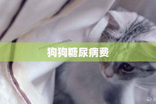 狗狗糖尿病費