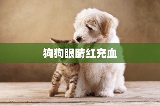 狗狗眼睛紅充血
