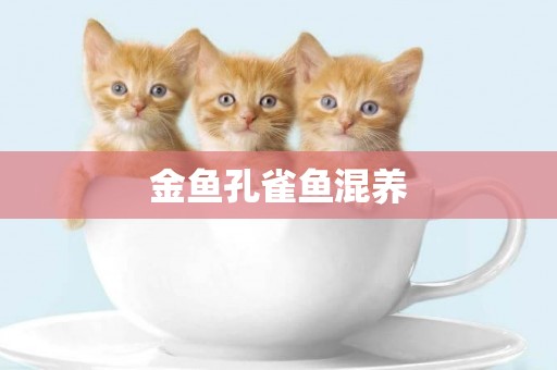 金魚孔雀魚混養
