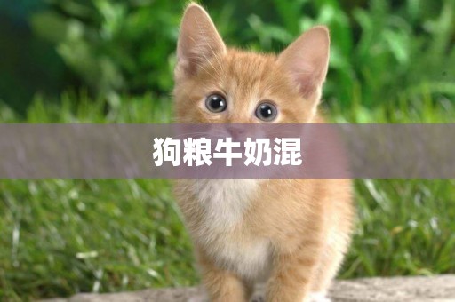 狗糧牛奶混