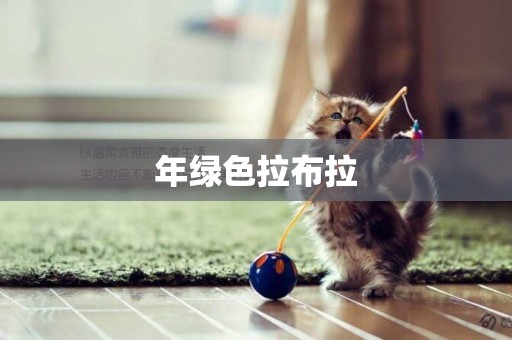 年綠色拉布拉