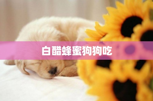 白醋蜂蜜狗狗吃