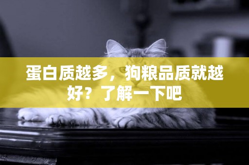 蛋白質越多,狗糧品質就越好?了解一下吧 蛋白質越多,狗糧品質就越好?了解一下吧