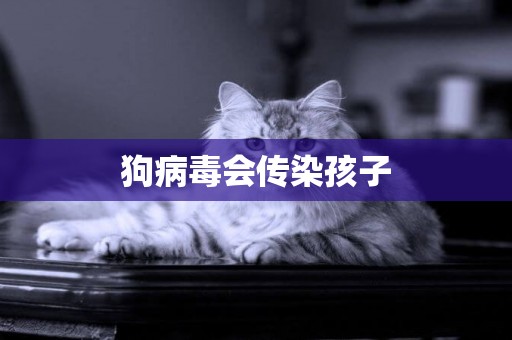 狗病毒會傳染孩子