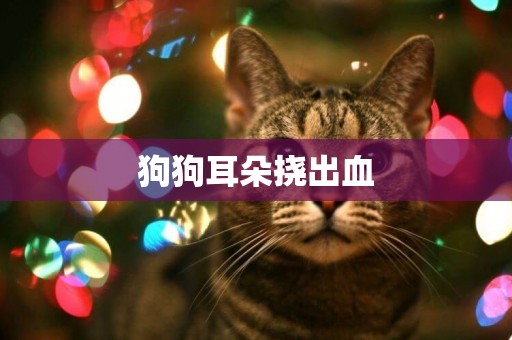 狗狗耳朵撓出血